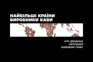 Найбільші країни виробники кави: хто формує світовий кавовий пояс фото