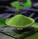 Зелений чай Матча TM Smoul Matcha Village 100 г (Клас 6А Sai Uji Ceremonial) SML61 фото 6